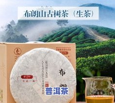 探究布朗山曼捌茶的独特魅力：曼木、曼囡、曼糯与曼果老寨的比较分析