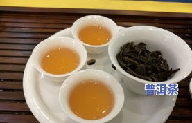 适合做冷泡茶的茶叶品种推荐