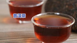 瑞昭普洱茶：系列介绍与价格全览