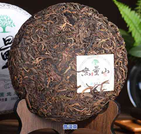 云南普洱茶哪个最香好？比较各大的茶、茶叶和茶饼