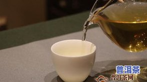 昌宁明前普洱茶-昌宁县普洱茶