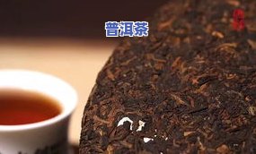 熟普洱茶生虫后能否暴晒及饮用？是不是有？相关图片解答