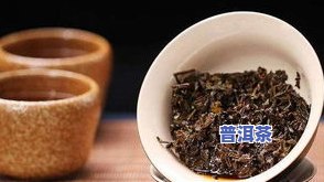 湿热体质适合饮用普洱茶吗？探讨其功效与副作用