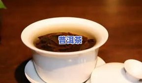 磨烈普洱茶视频-普洱茶磨烈价格