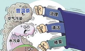 普洱茶的陷阱：揭示猫腻与防范措施