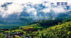 普洱茶景迈山申遗成功：古老茶林景区获世界认可