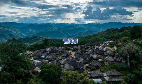 普洱茶景迈山申遗成功：古老茶林景区获世界认可