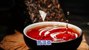 全攻略：生普洱茶怎么泡法好喝视频教学