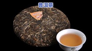 勐海普洱茶哪里好喝一点-勐海普洱茶哪里好喝一点的