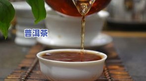 普洱茶有很小的虫子，还能喝吗？图片、视频展示，安全问题解析