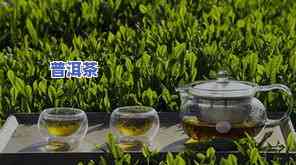 我国产量最多的茶叶种类是A：绿茶、红茶还是黑茶？