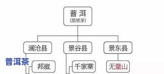 全面解析：普洱茶产茶区及其特点与品种