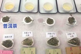 什么时候出新的茶叶-什么时候出新的茶叶品种