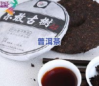 云南七子饼老树茶：价格、品种全解析