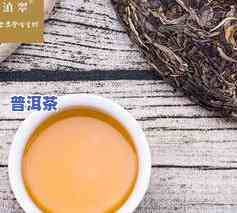 怎么分普洱茶的好坏？完整视频教你辨别优劣