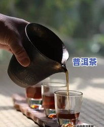 深入解析：普洱小树茶与古树茶的区别及特点对比图解