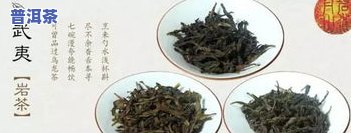 泡出来是绿色的茶叶有哪些品种？种类及图片解析