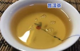 普洱茶储存湿度低能否饮用？原因与影响解析