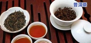 普皇普洱茶礼盒：价格、品质与包装全解析