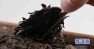 普洱茶会过期吗-普洱茶会过期吗?可以存放多久