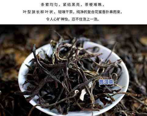 云南生普洱茶的功效与作用全解析：生茶特性、区别与健康益处