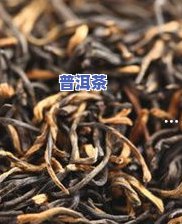 普洱茶原材料是什么样-普洱茶原材料是什么样的