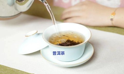 普洱茶用功夫茶具怎么泡，功夫茶具怎样冲泡普洱茶？一份详细教程