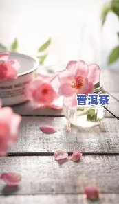 重阳节能喝菊花吗？了解其寓意、好处与禁忌