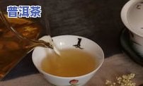 普洱茶的退出期是多久啊-普洱茶的退出期是多久啊