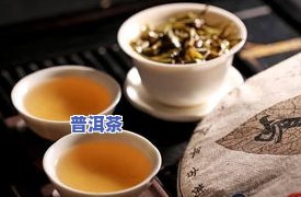 临沂哪家普洱茶店比较好？推荐临沂普洱茶专卖店及当地更佳茶叶