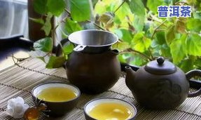 普洱茶：喝上火还是降火？真相揭秘！