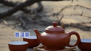 用茶壶泡普洱茶的冲泡方法与技巧全解析