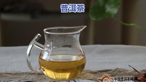 一般泡普洱茶需要多少克茶叶？详解视频