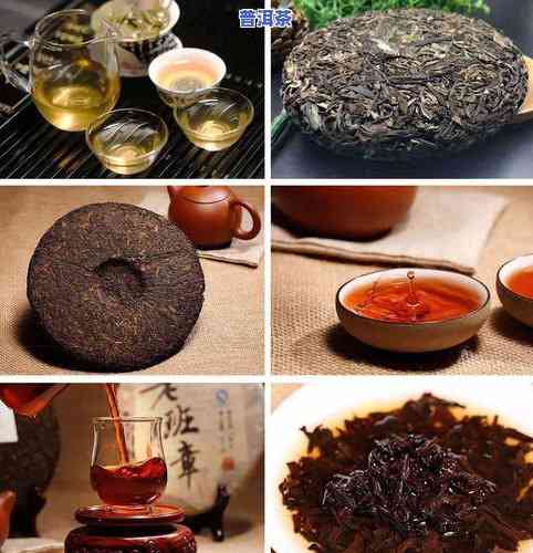 普洱茶里配的：茶品种、点心与配方全解析