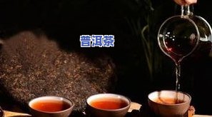 好喝的普洱茶推荐图集大全-好喝的普洱茶推荐图集大全