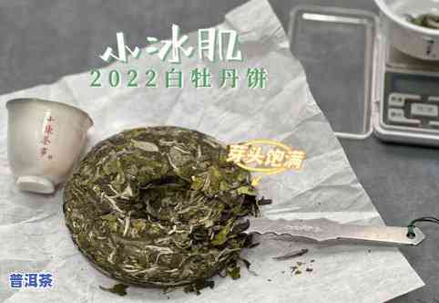 白茶饼子怎么喝-白茶饼子怎么喝好喝