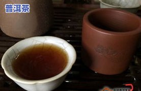 清远大益普洱茶好喝吗？价格、专卖店全解析