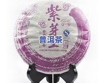 普洱茶紫芽能收藏吗？多少钱一克？品种、价格全解析！