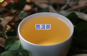 普洱茶能加柠檬片吗，探究普洱茶与柠檬片的完美搭配，口感新升级！