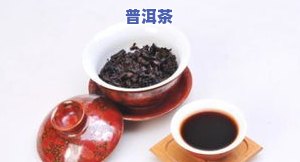 普洱一次放多少克：茶叶、枸杞、茶的用量全知道！