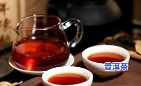 胖迪的普洱茶仓图片价格-胖迪迪图片