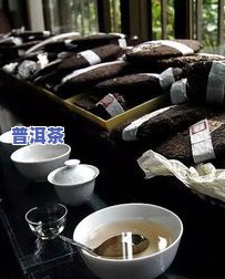 为什么只有云南有普洱茶？探究其独特产地与历史文化