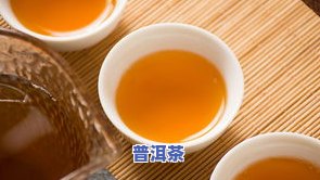 云南的普洱茶是源于哪种茶？其名字由来是什么？