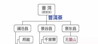 全面解析茶叶精制厂生产流程图及设计图