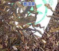 冰岛古树茶和冰岛普洱茶有何区别？探讨两款茶叶的不同之处与特点