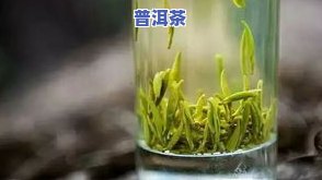 像小树枝一样的茶叶-像小树枝一样的茶叶叫什么茶