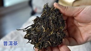 纯正古树普洱茶的功效与作用：详解、禁忌与价格