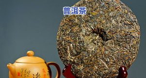 深入解析：古树普洱茶与普通普洱茶有何区别？功效上有何差别？