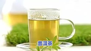 驸马茶是普洱茶还是绿茶？详解其品种、冲泡方法及特点