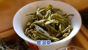 普洱茶嫩-普洱茶嫩叶好还是老叶好